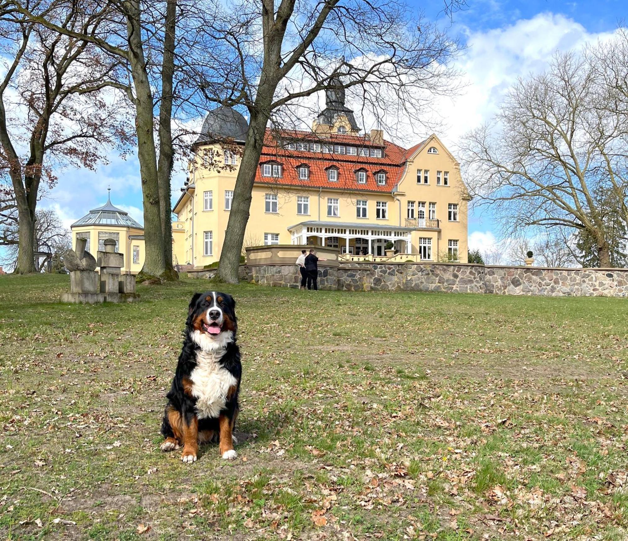 Bernsteinschloss Wendorf  Екстериор снимка